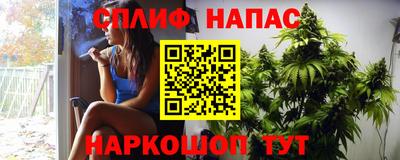 тгк Пенза