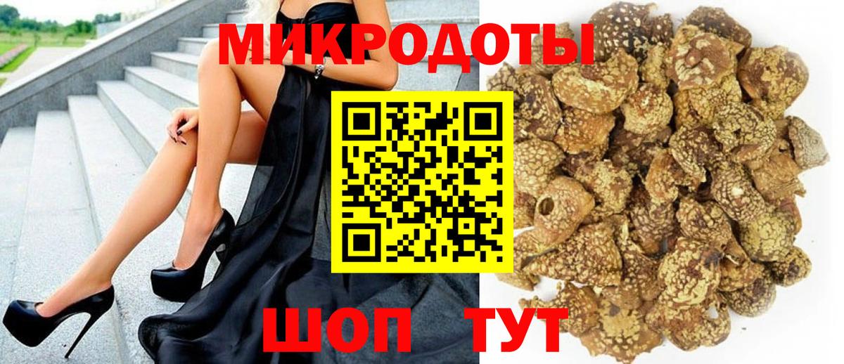 Советск  Галлюциногенные грибы Psilocybe  Вход с VPN 